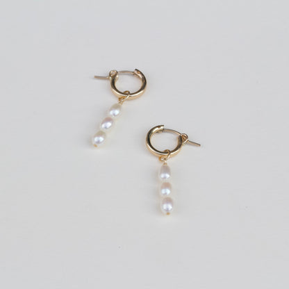 Margo Hoops